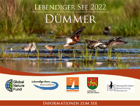 Flyer_Lebendiger-See_2022_DuemmerSee.pdf