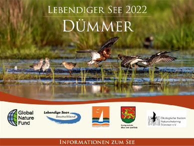 Flyer_Lebendiger-See_2022_DuemmerSee.pdf